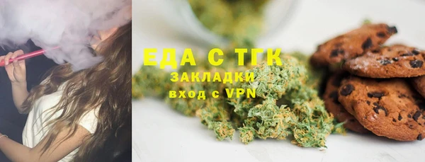 индика Зеленокумск