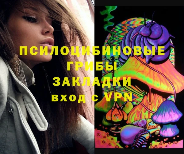 а пвп мука Алзамай